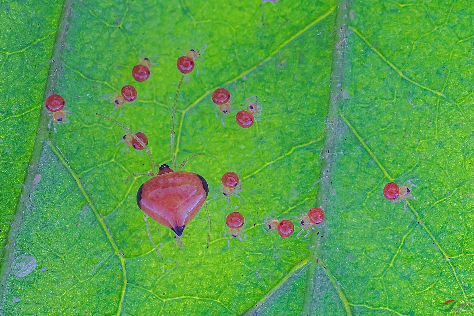 ����ѵ��