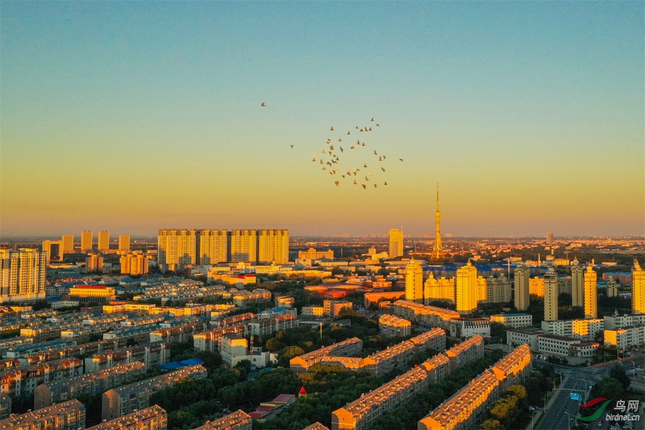 DJI_0015����1.jpg