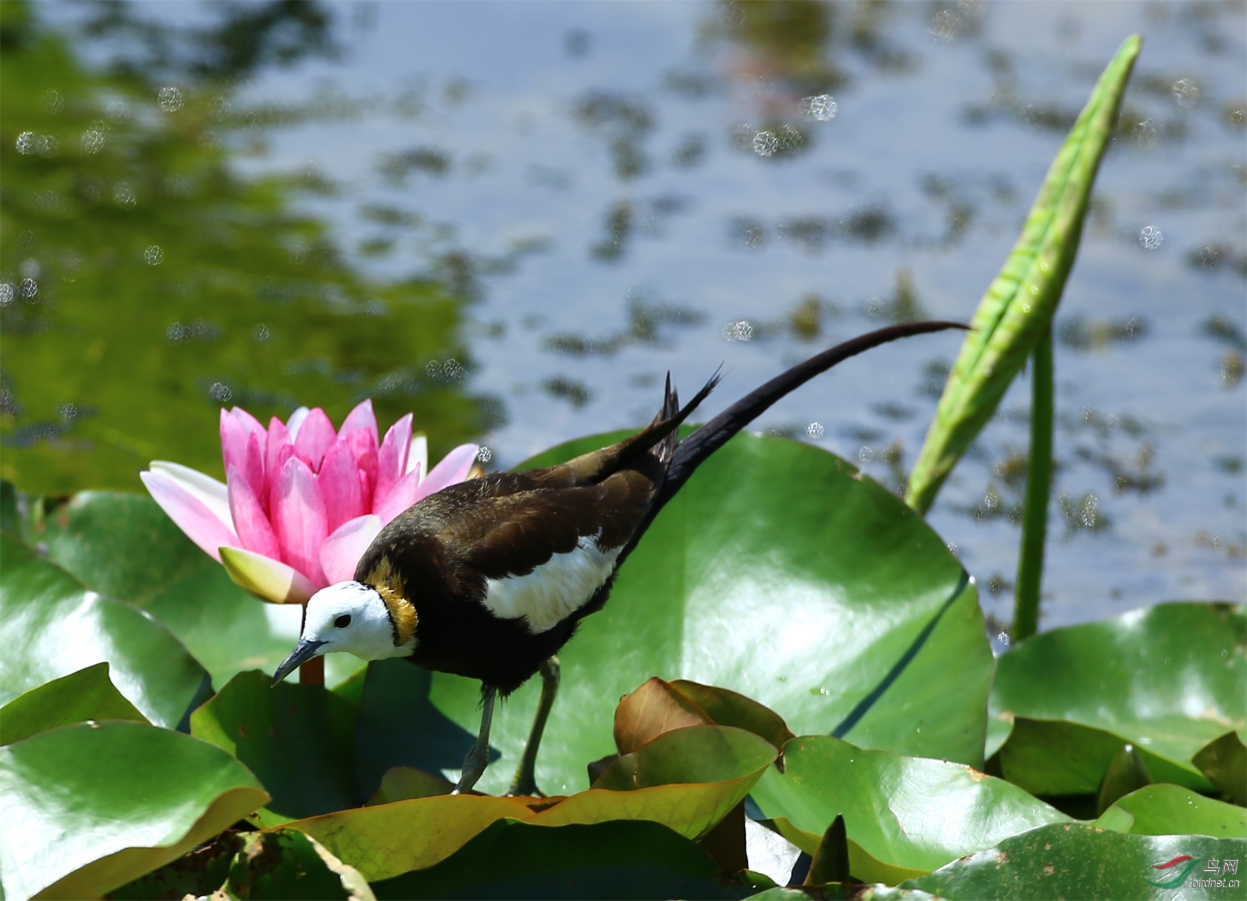 2020.7.29�㣬�ѷ� (10).jpg