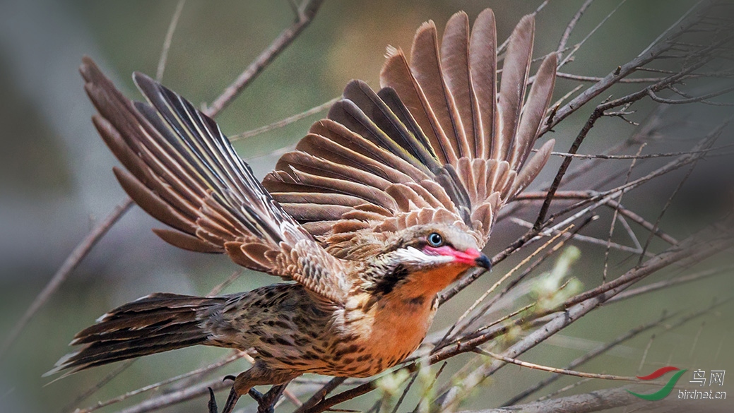 4-C73I0082 �̼մ�����.jpg