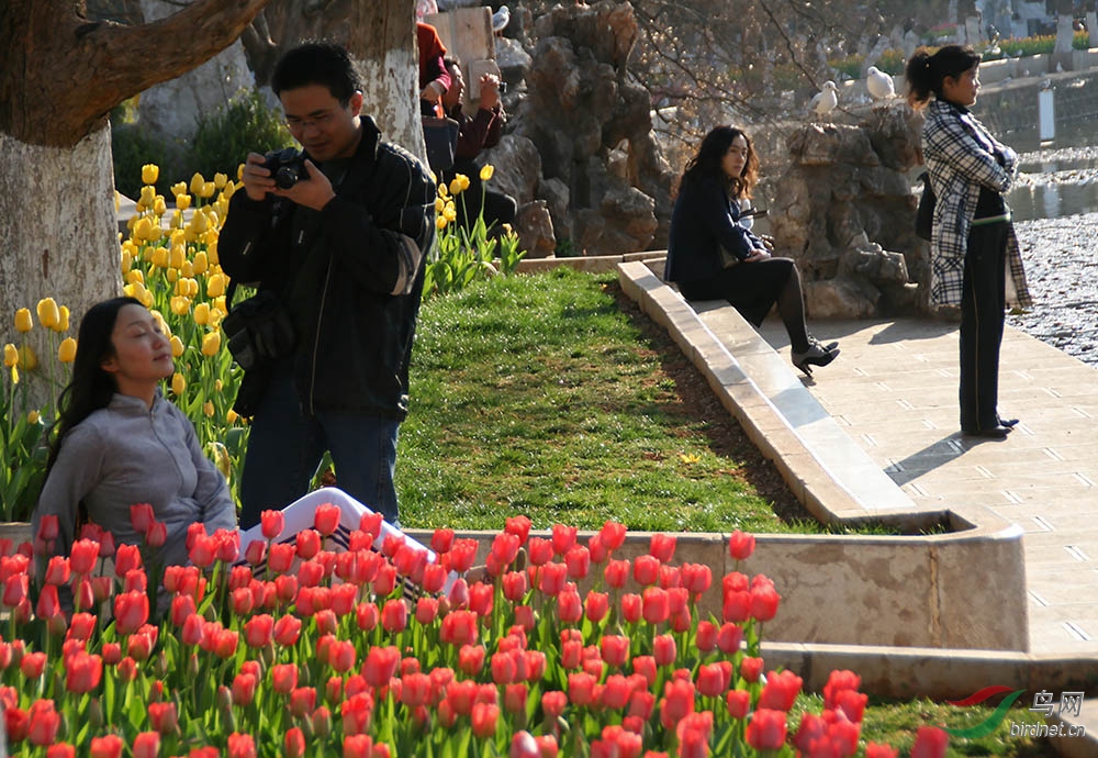 ����Ÿ�� 131.1.jpg