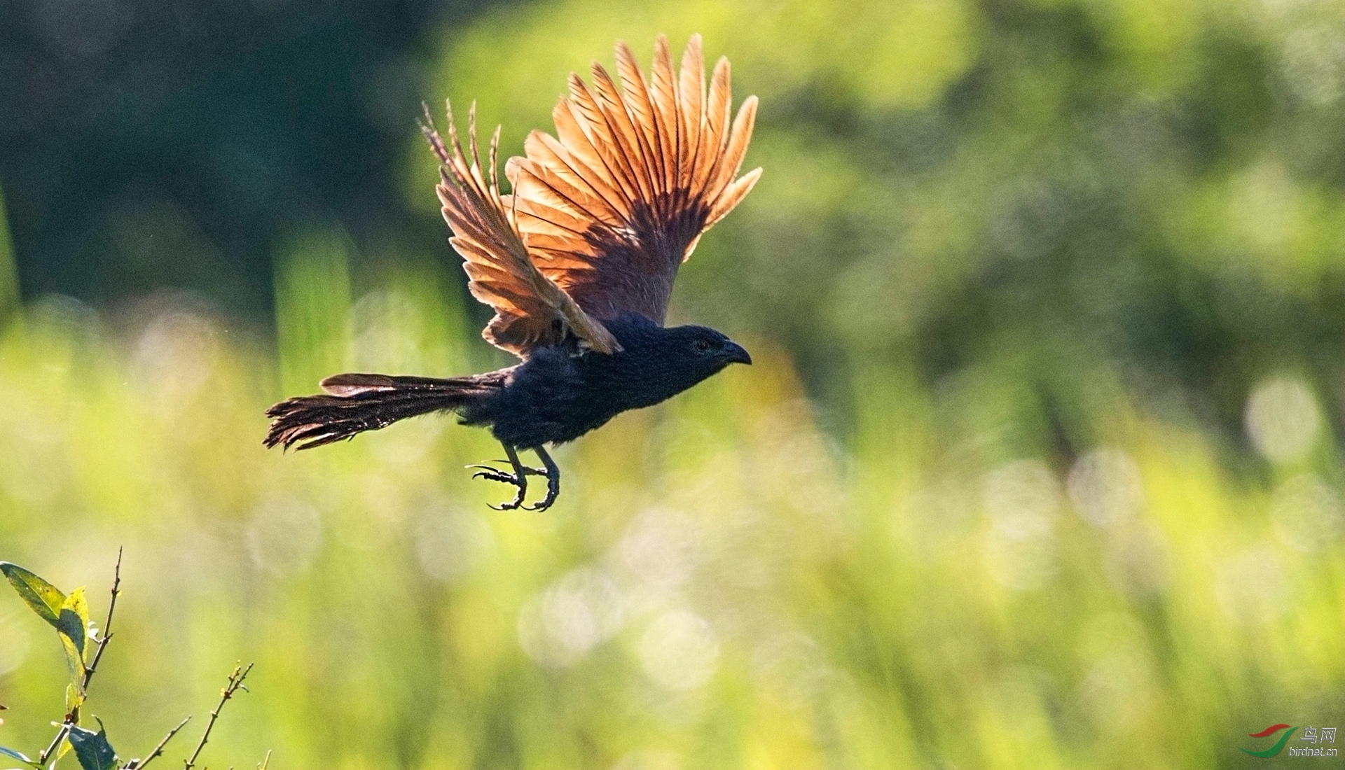 BW4Q5812 - ���� - ���� (2) - ���� - ����.jpg