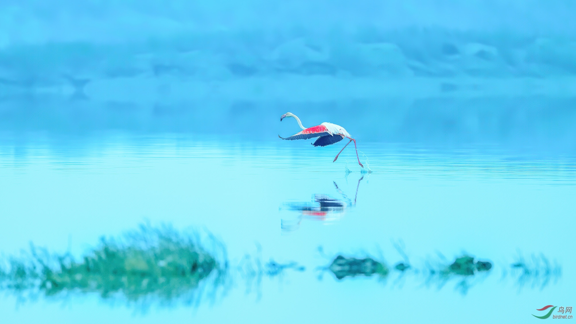 DSC_4176 �ϴ�_ֻӰ����.jpg