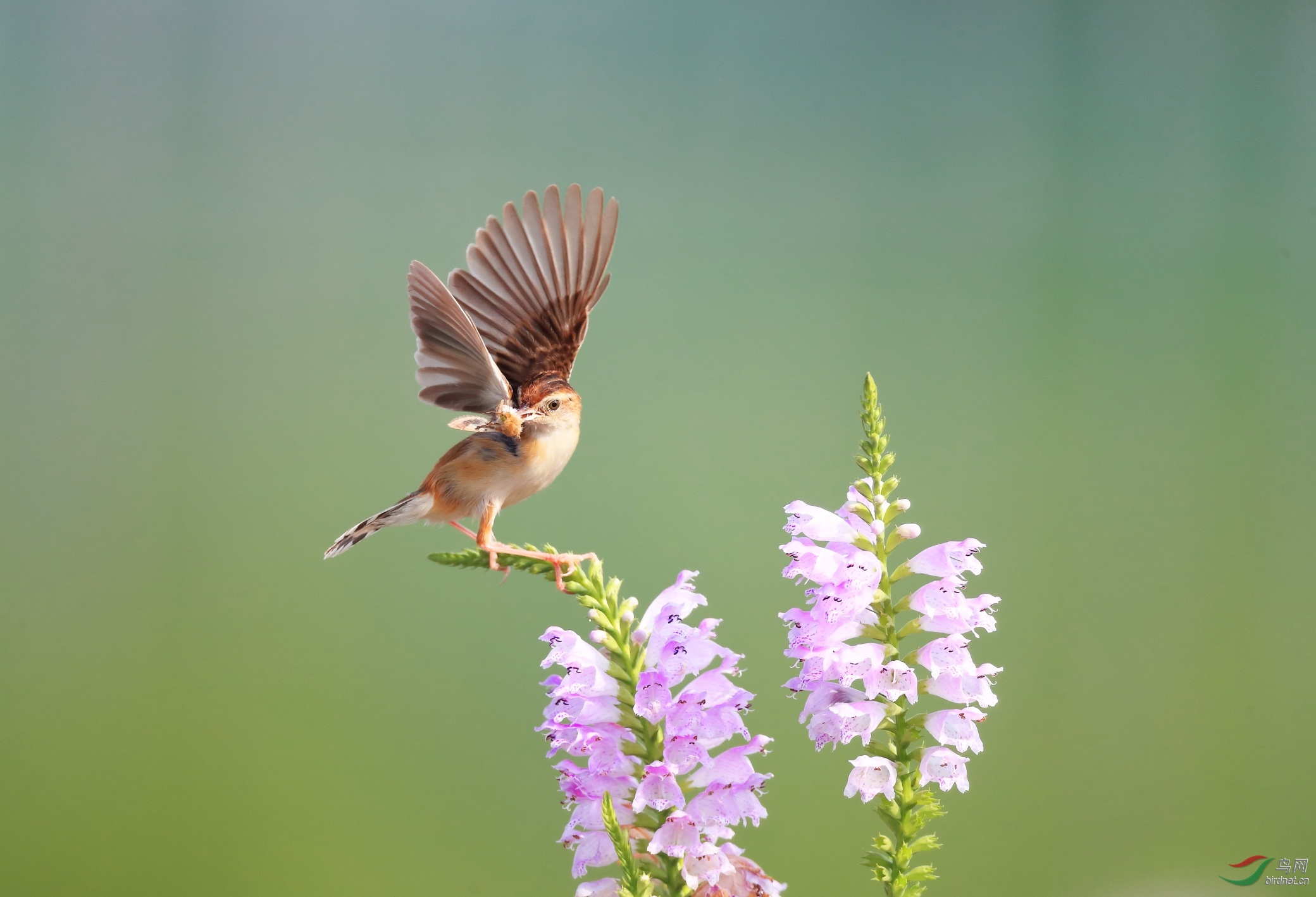 3 - ����.JPG