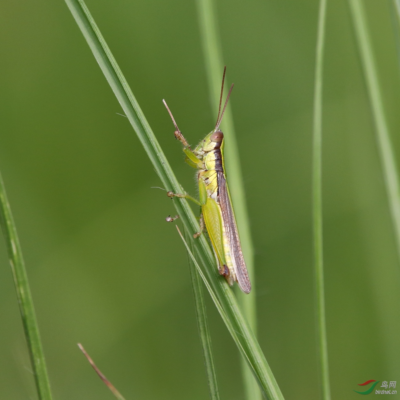IMG_5622.JPG