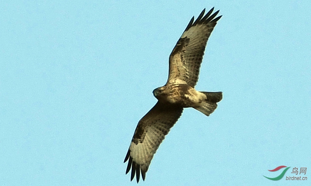 DSC_1754_����.jpg