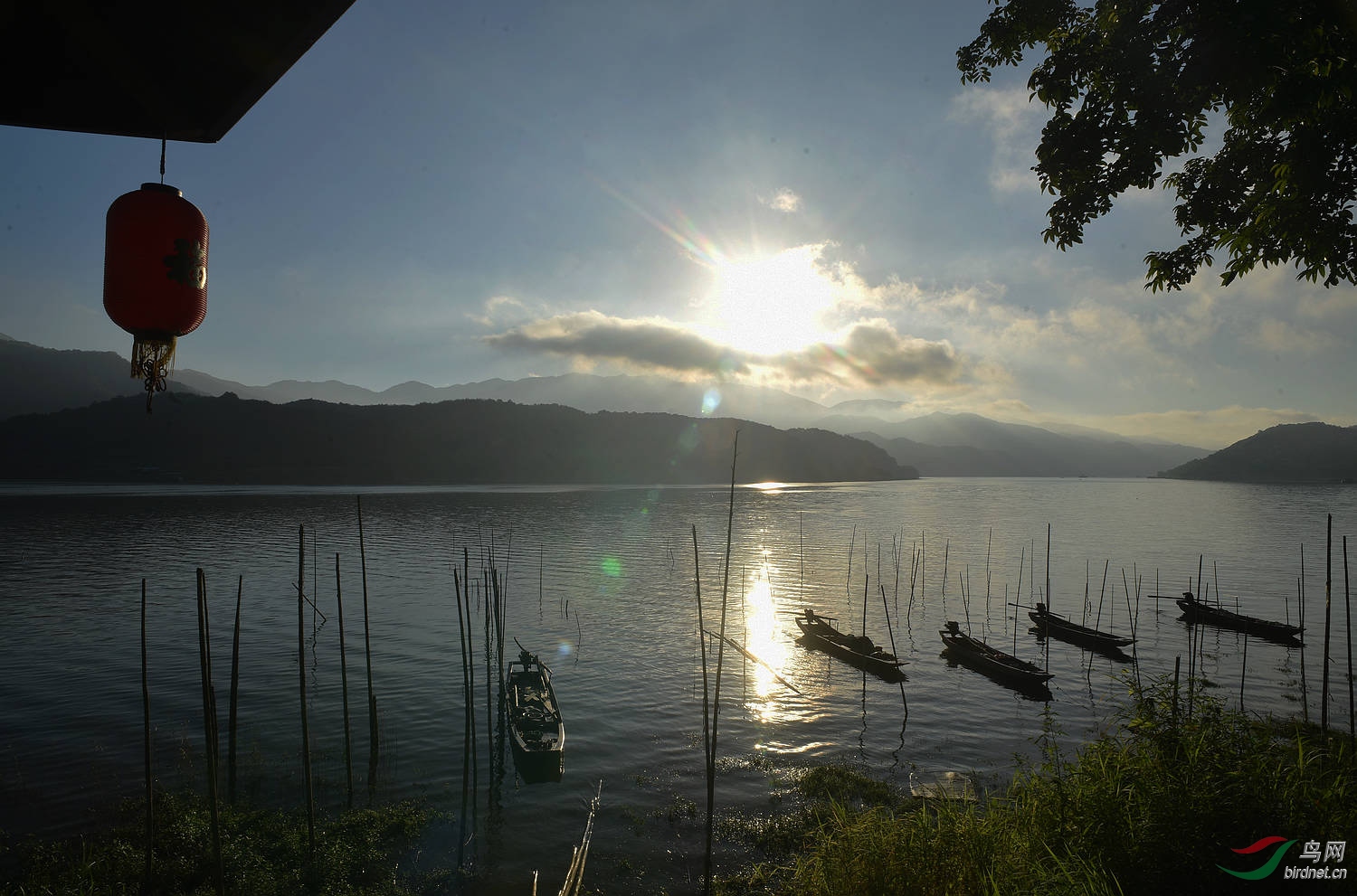D8I_8868.jpg