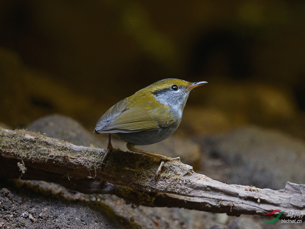 _DSC0710 - ����.JPG