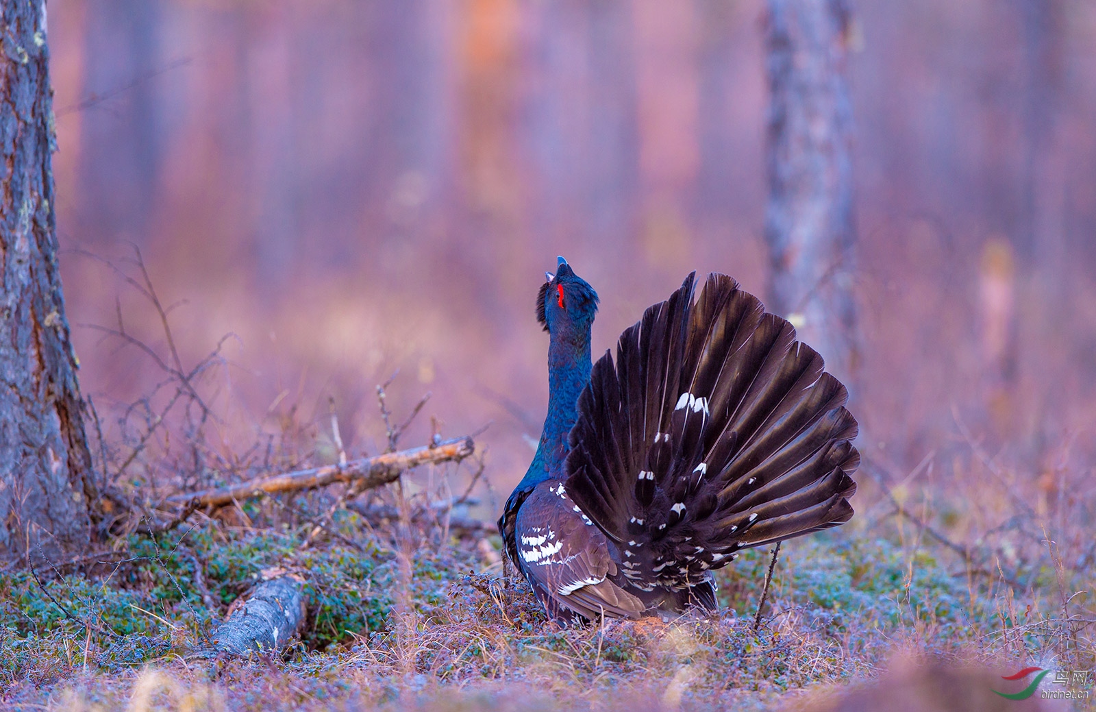 DSC_5163.jpg
