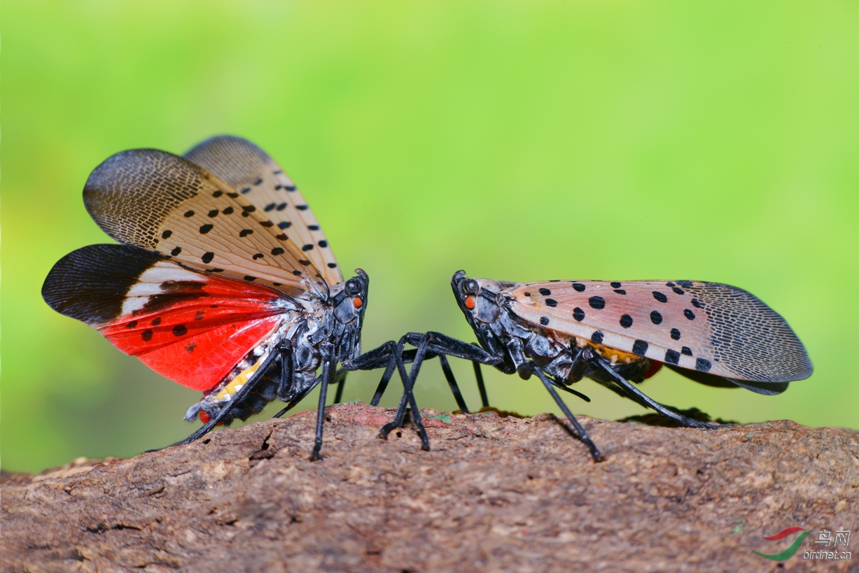 DSC_3588 ��������.jpg