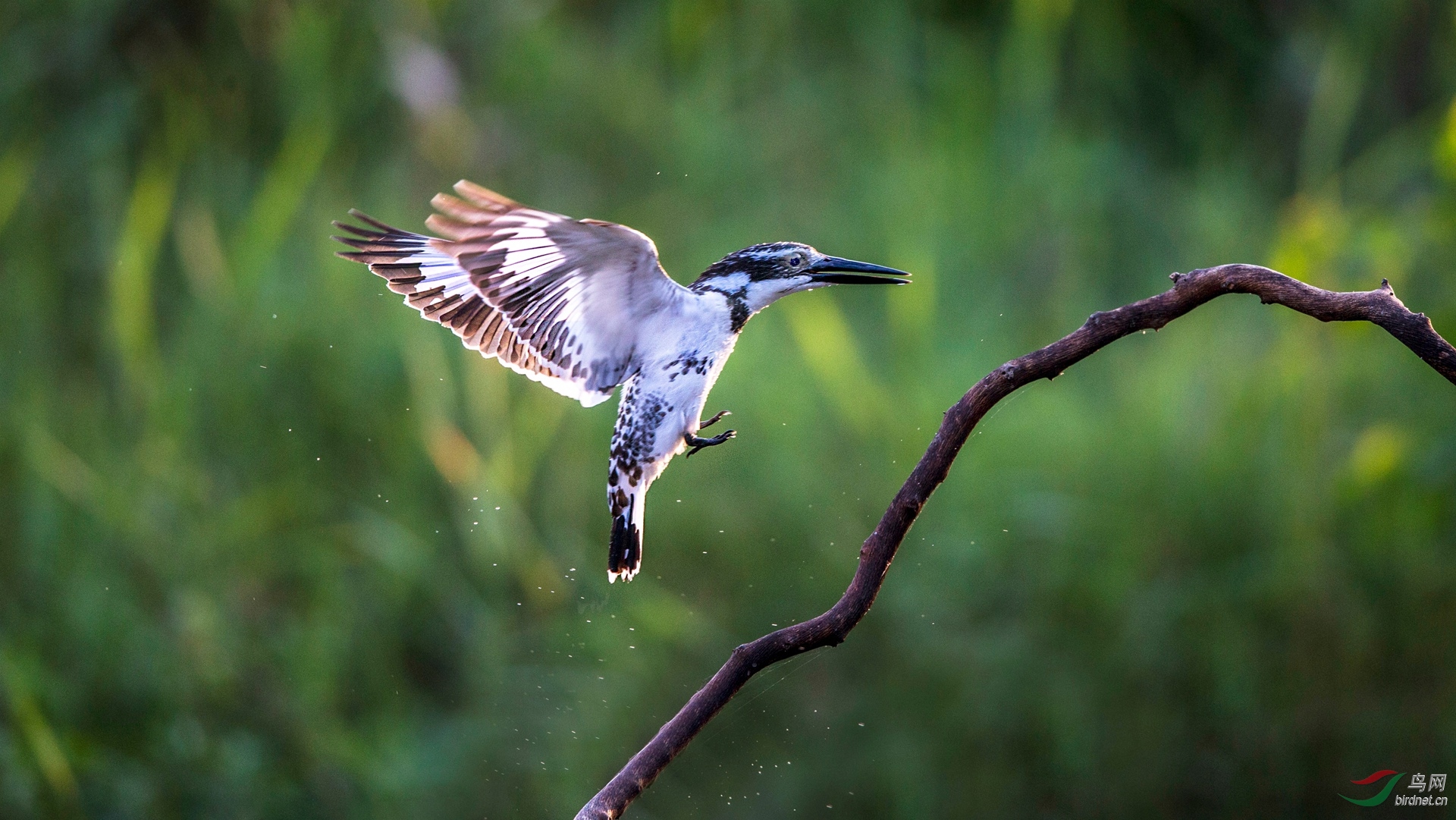 BW4Q7132 - ����.jpg