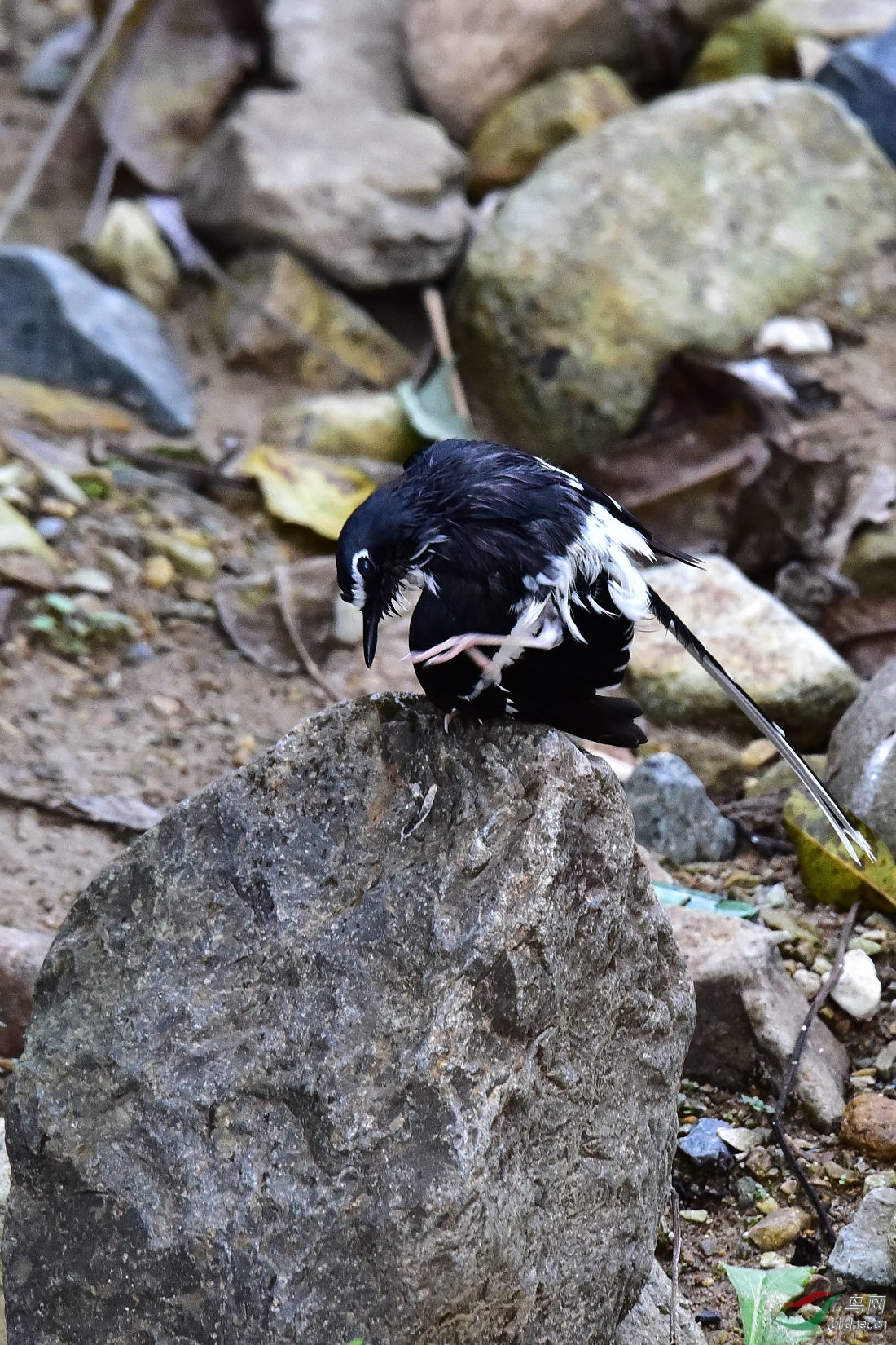 DSC_1152.JPG