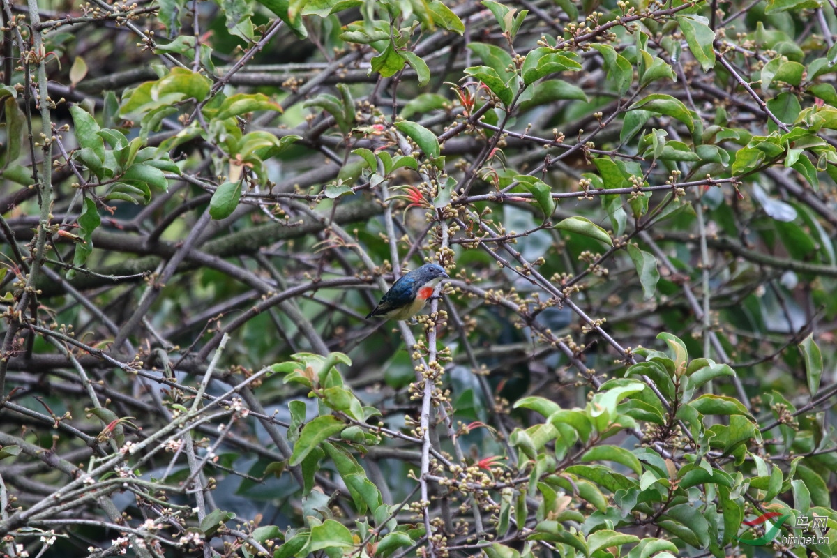 IMG_9641.JPG
