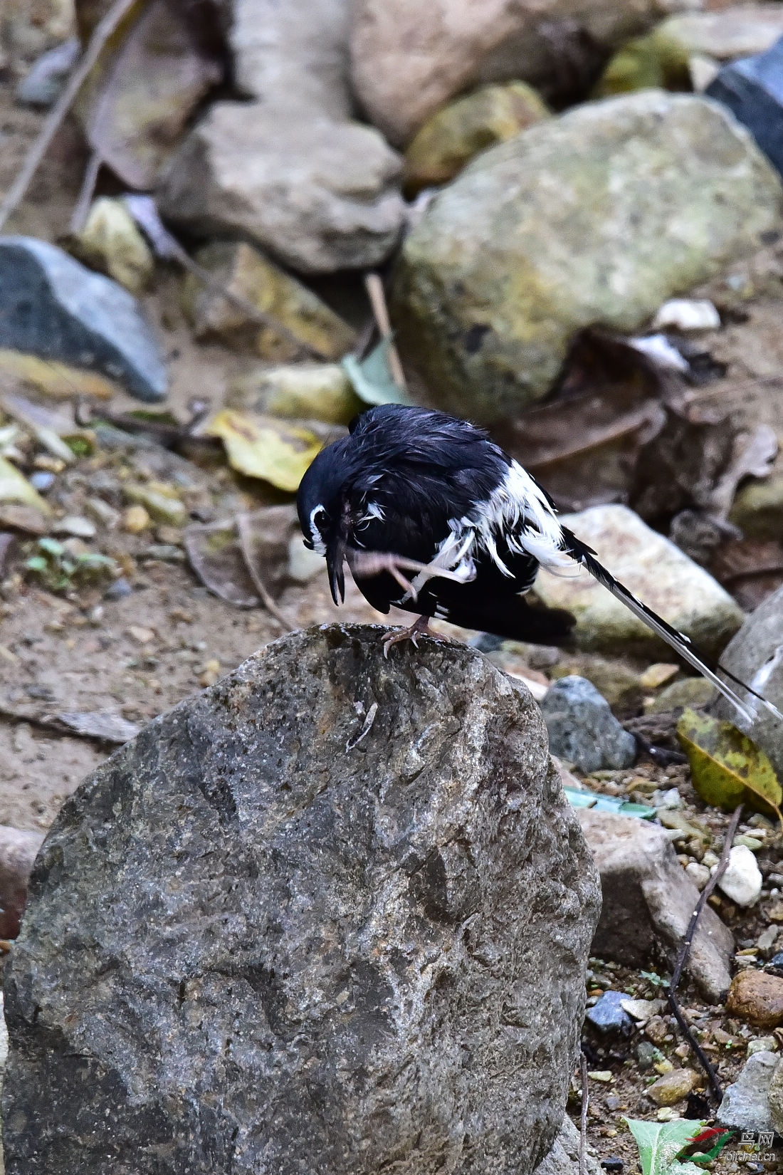 DSC_1154.JPG