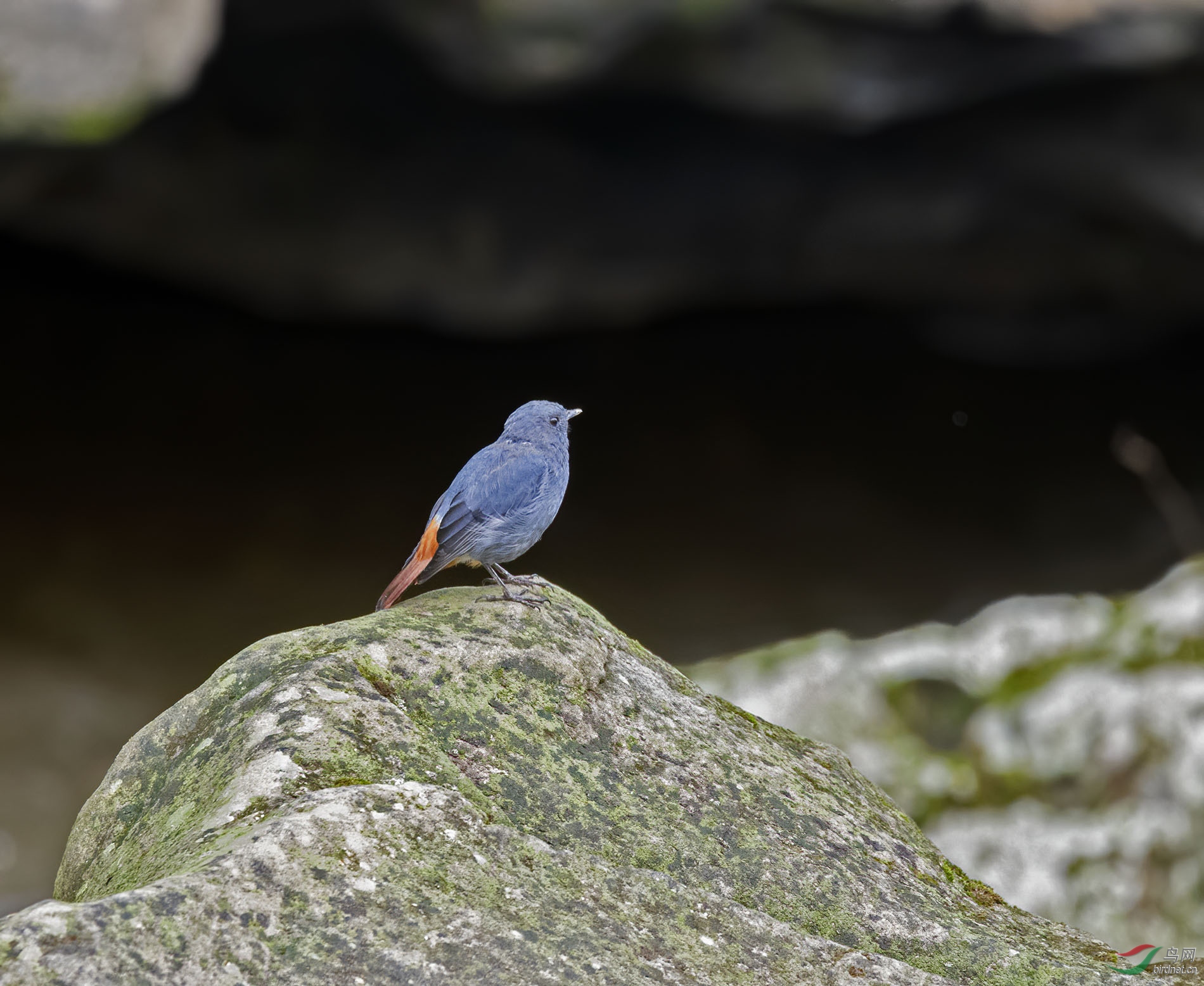 DSC_4005.jpg