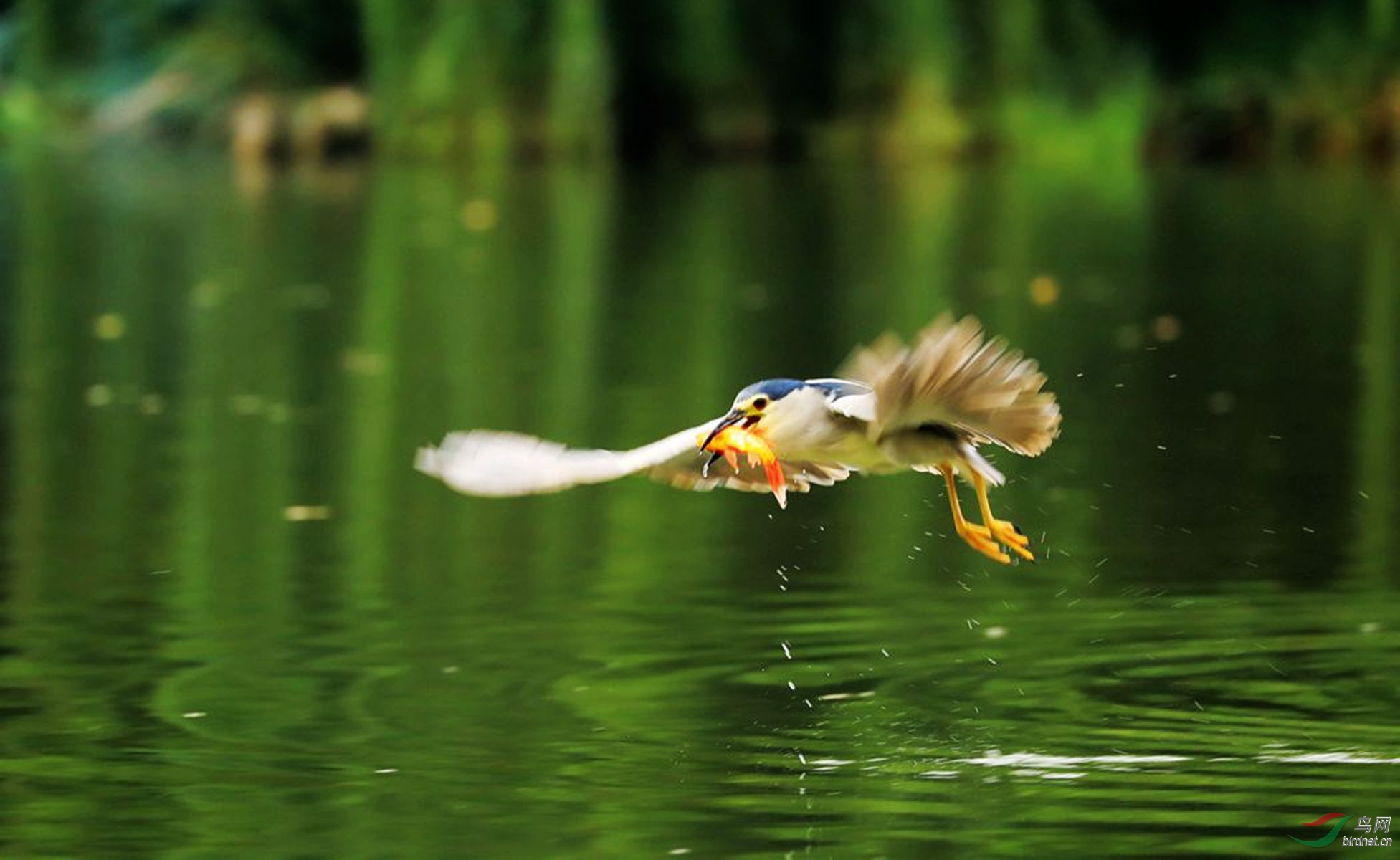 702.jpg