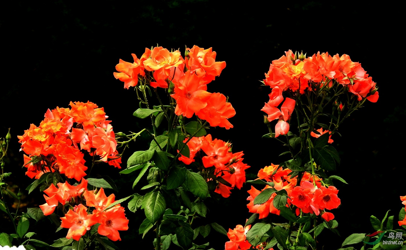 DSCN2614.JPG