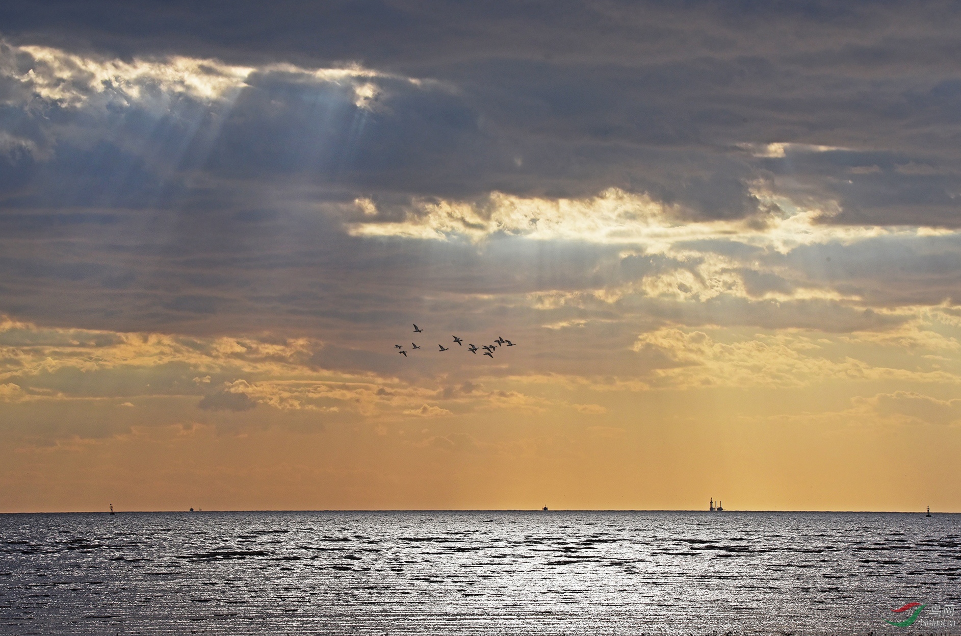 天光云影共徘徊