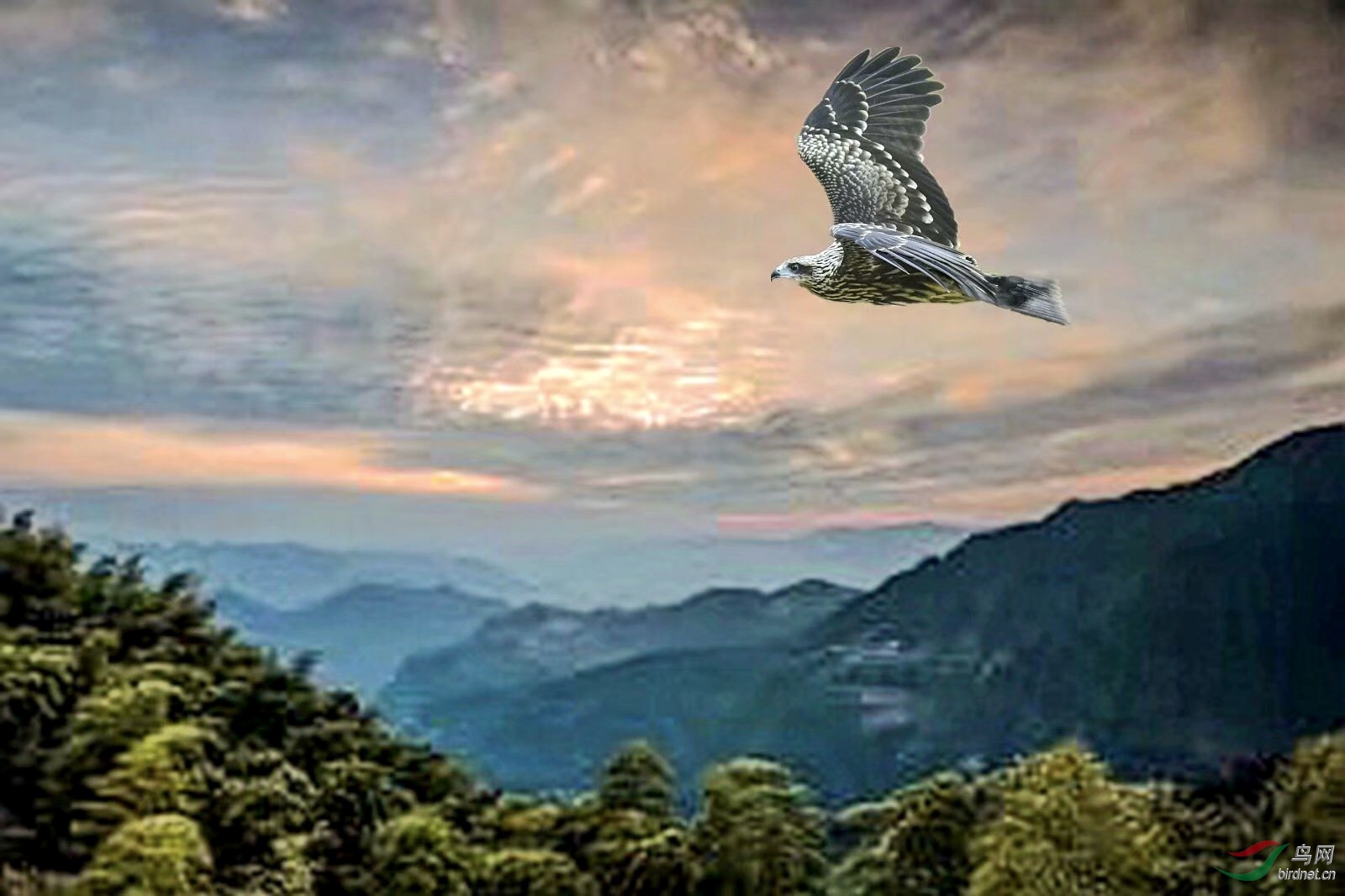 AF736E28-91A3-48C7-BBAA-B4ADCFA57FDB.jpeg