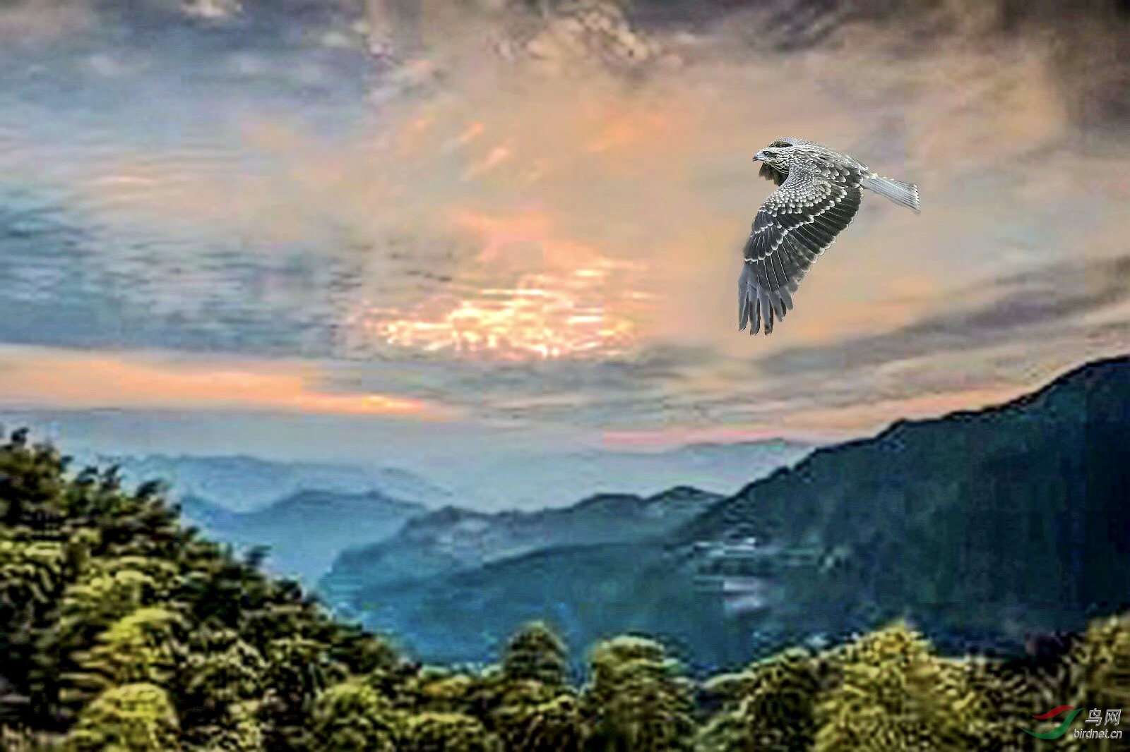 AAEF2822-75DE-4CBD-A88D-C51C52536C6D.jpeg