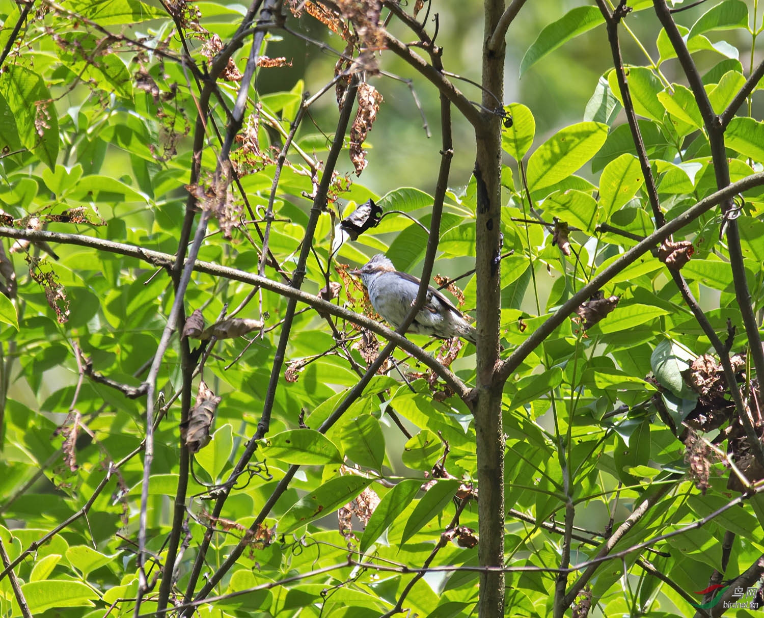 DSC_6495.jpg