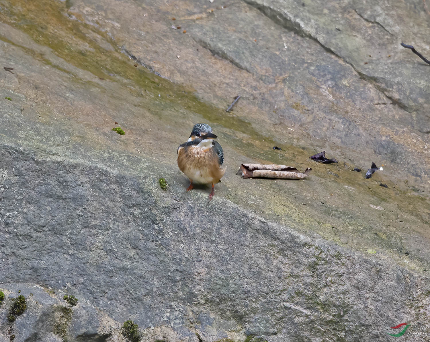 DSC_3904.jpg