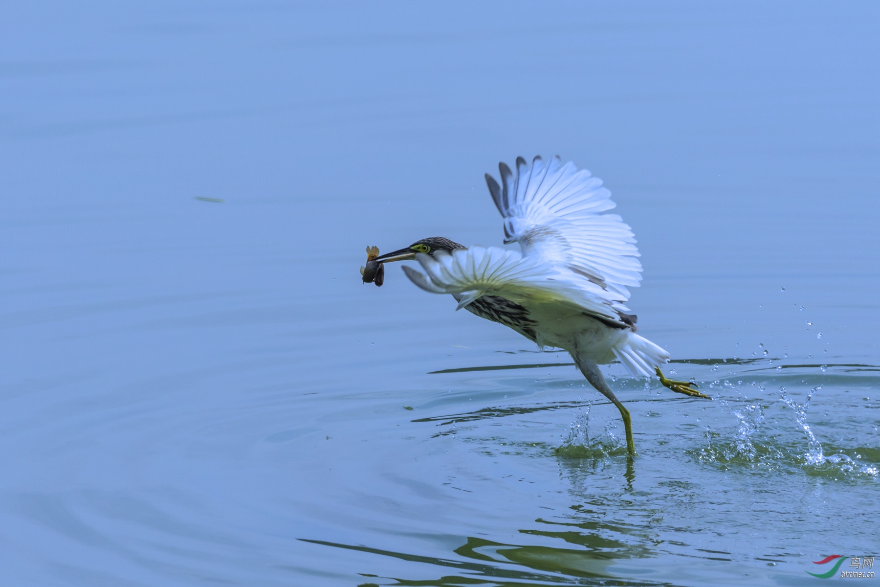 CU9A5598_HZP.jpg