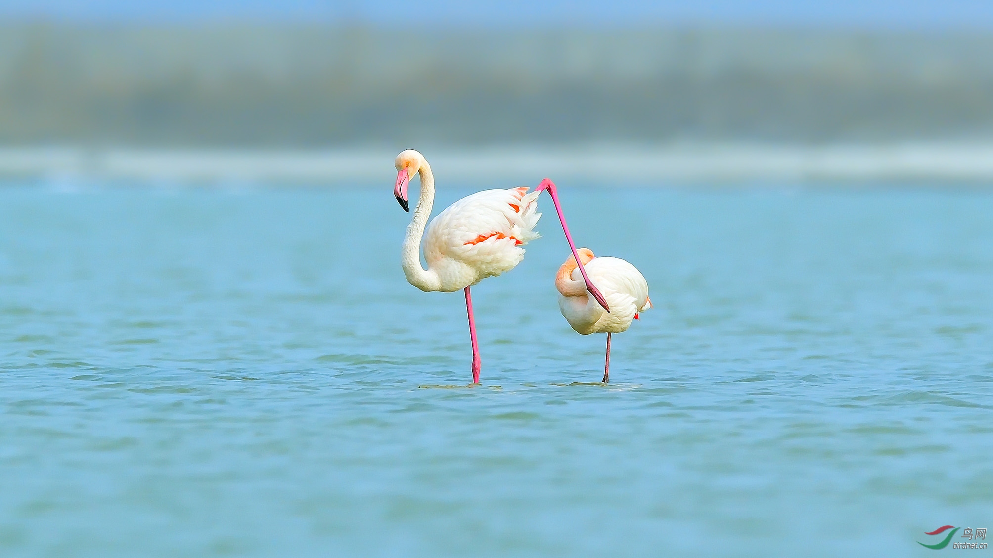 DSC_8107_�����κ� �ϴ�.jpg