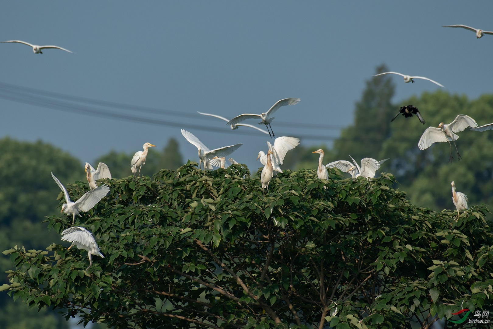 JJY_5402.jpg