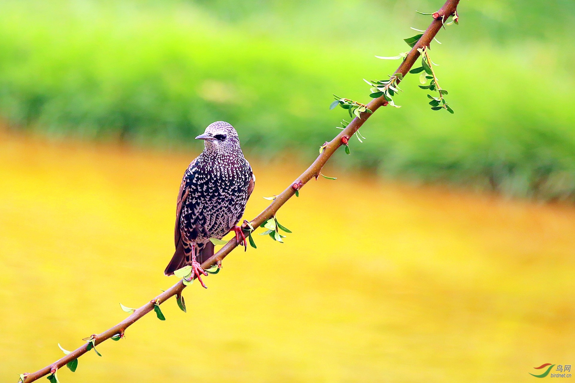 1Y0A8523_����.jpg