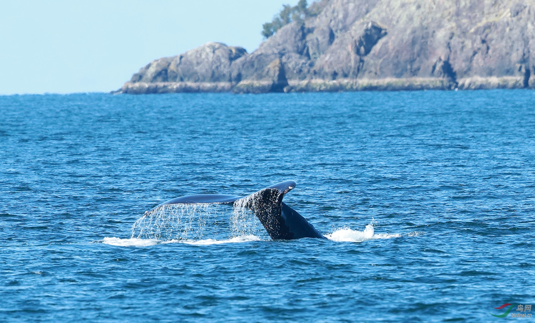 Ư����β��