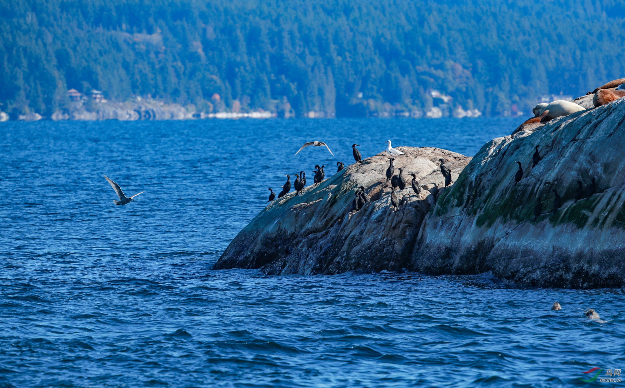 �����ദ��ˮ��