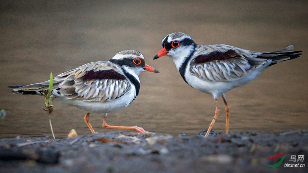 7-3078 ��ͷ�a.jpg