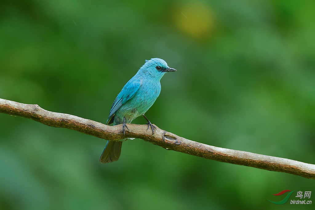 DSC_4130_DxOa.jpg