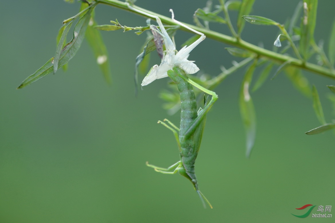 DSC_8412.JPG