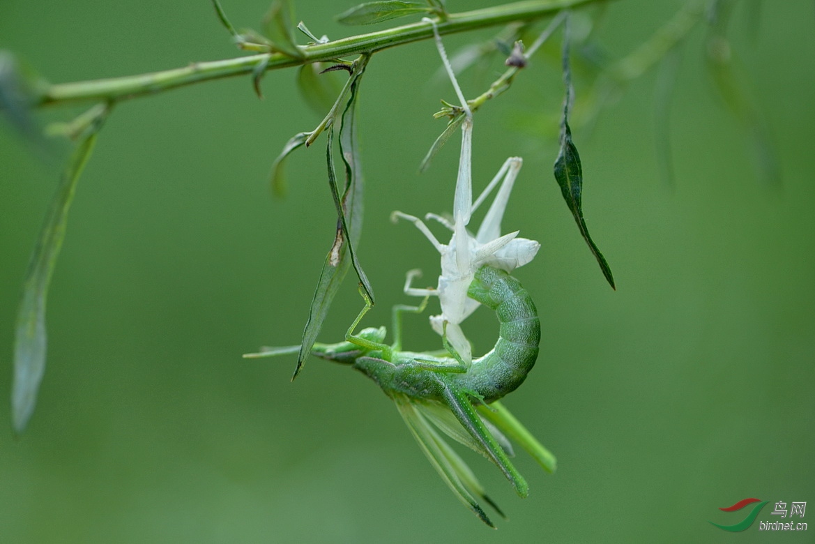 DSC_8422.JPG
