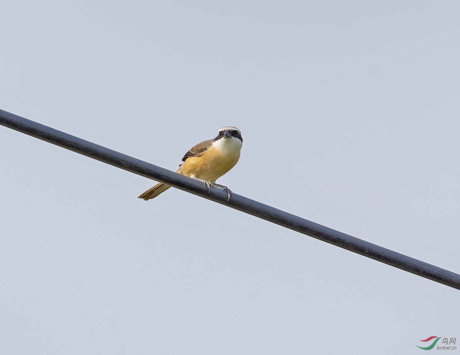 DSC_5225.jpg