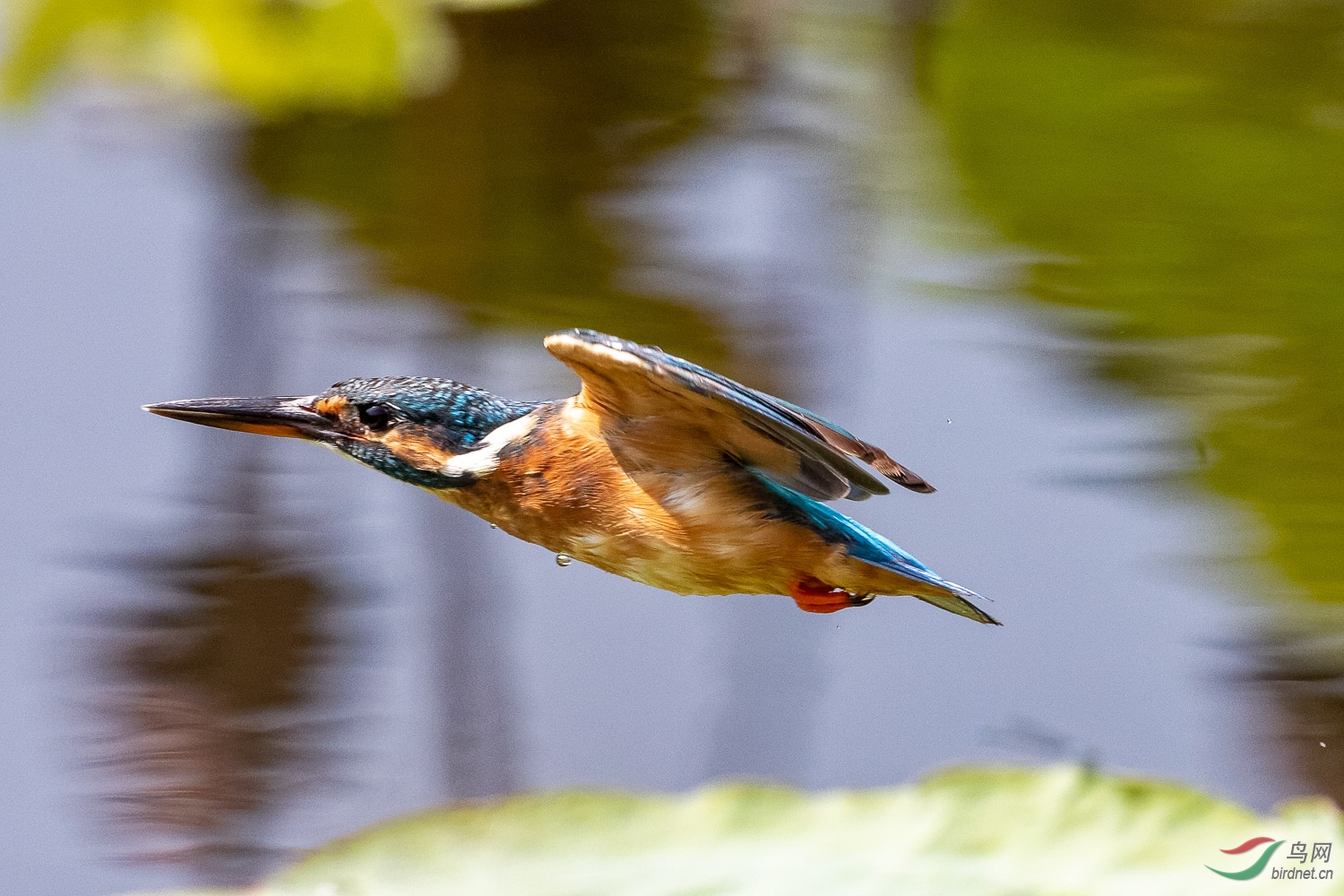 IMG_1435_DxO.jpg