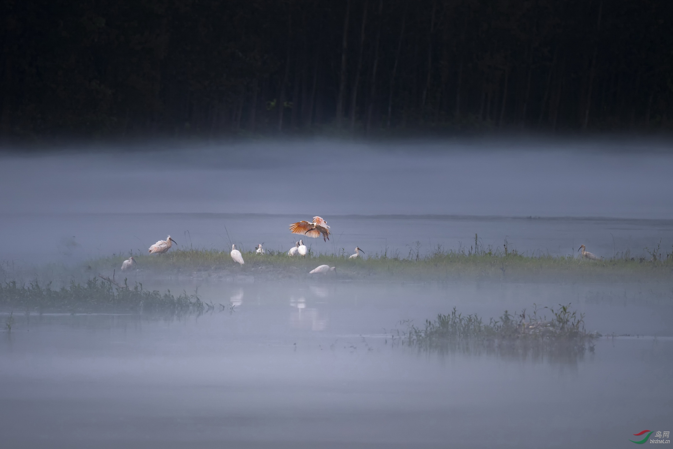 DSC_3143CF03.jpg