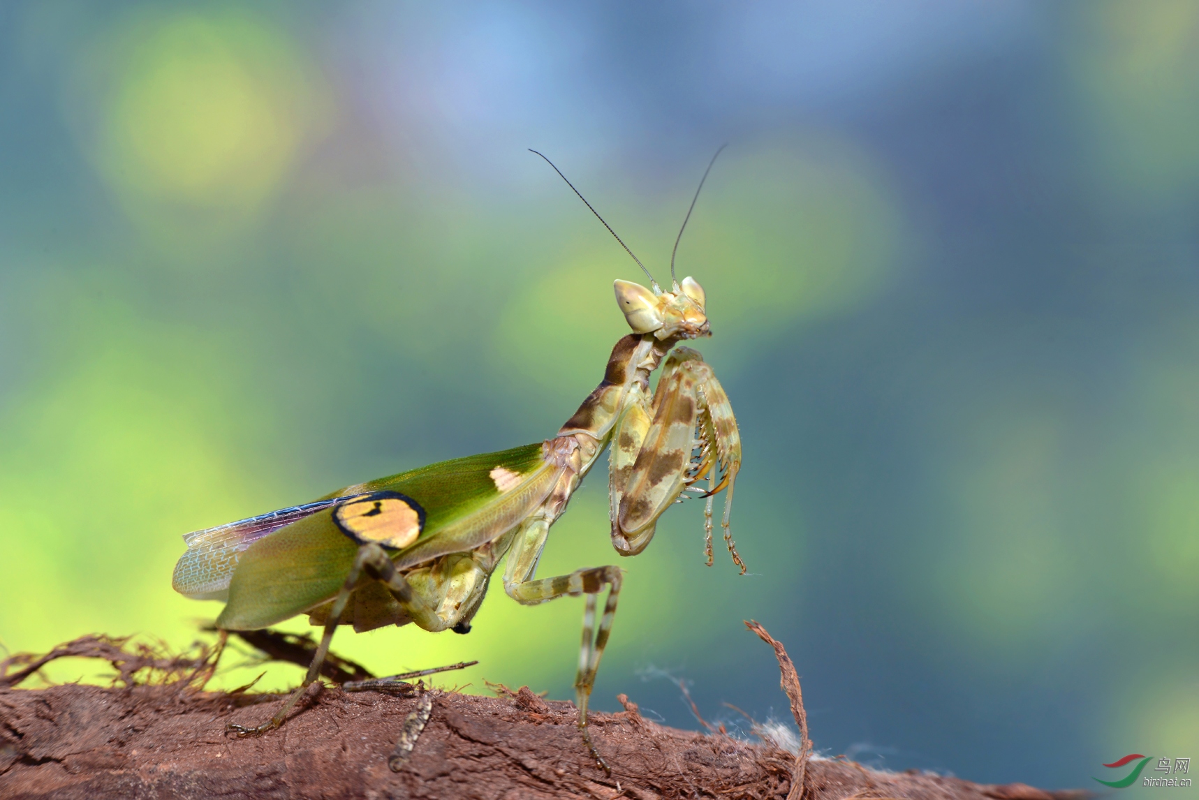 DSC_8317.JPG
