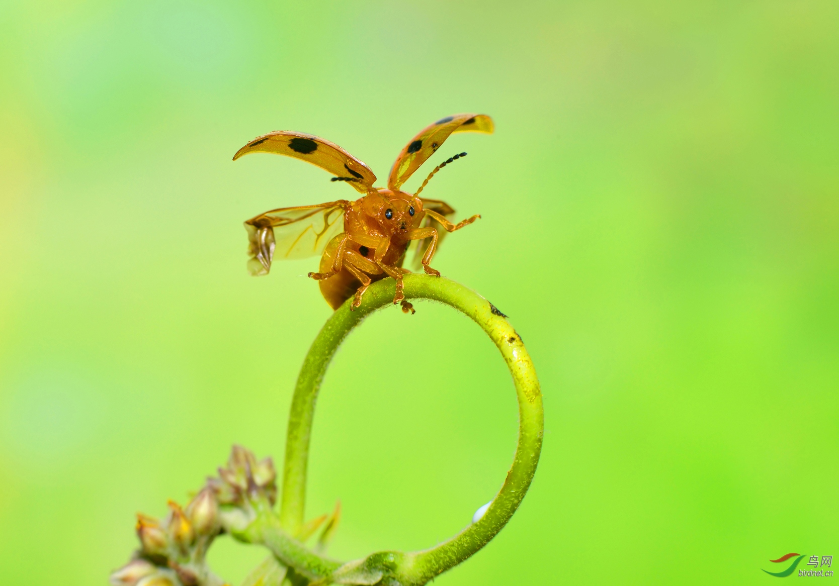 DSC_1438 ����.jpg