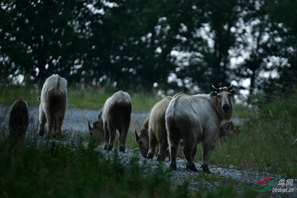 DSC_5057.JPG