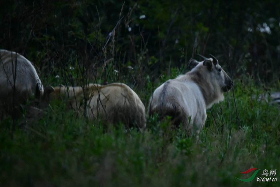 DSC_5074.JPG