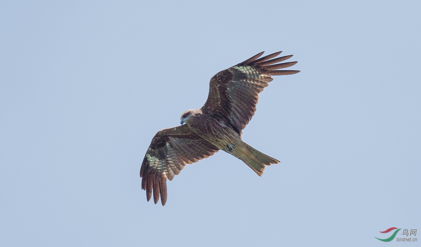 DSC_8897.jpg