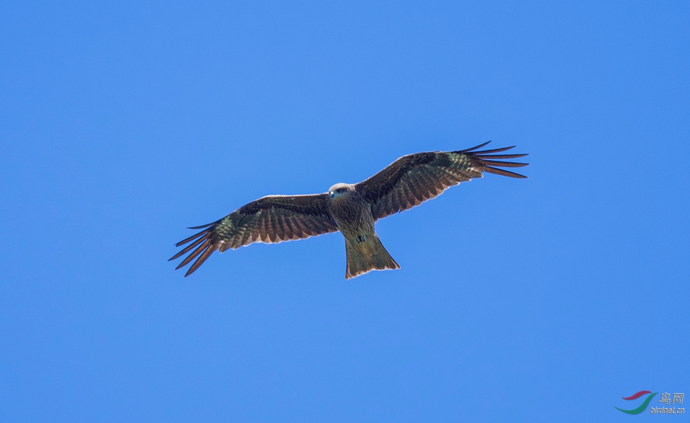 DSC_8931.jpg