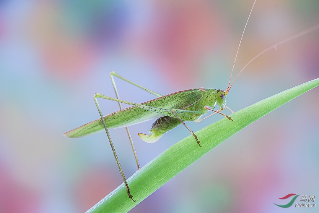 δ����-02531.jpg