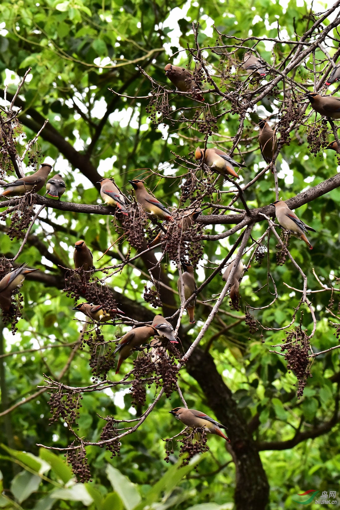 DSC_0002.JPG
