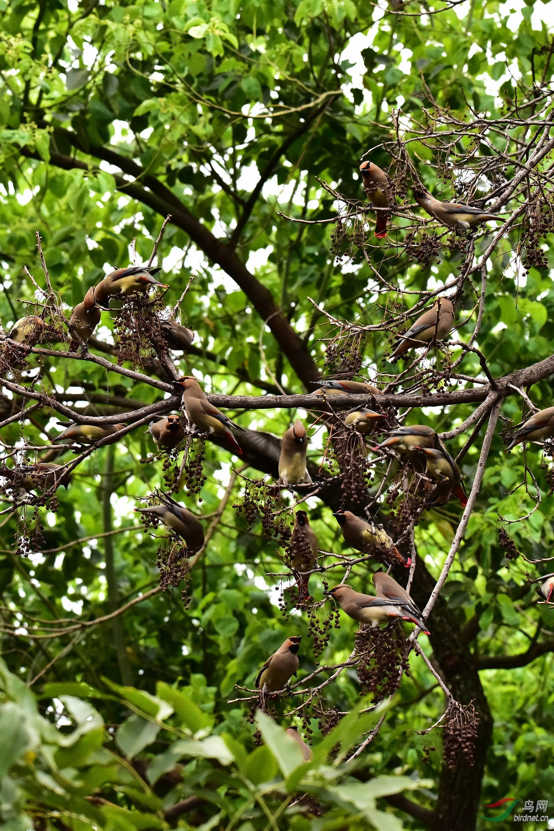 DSC_0005.JPG