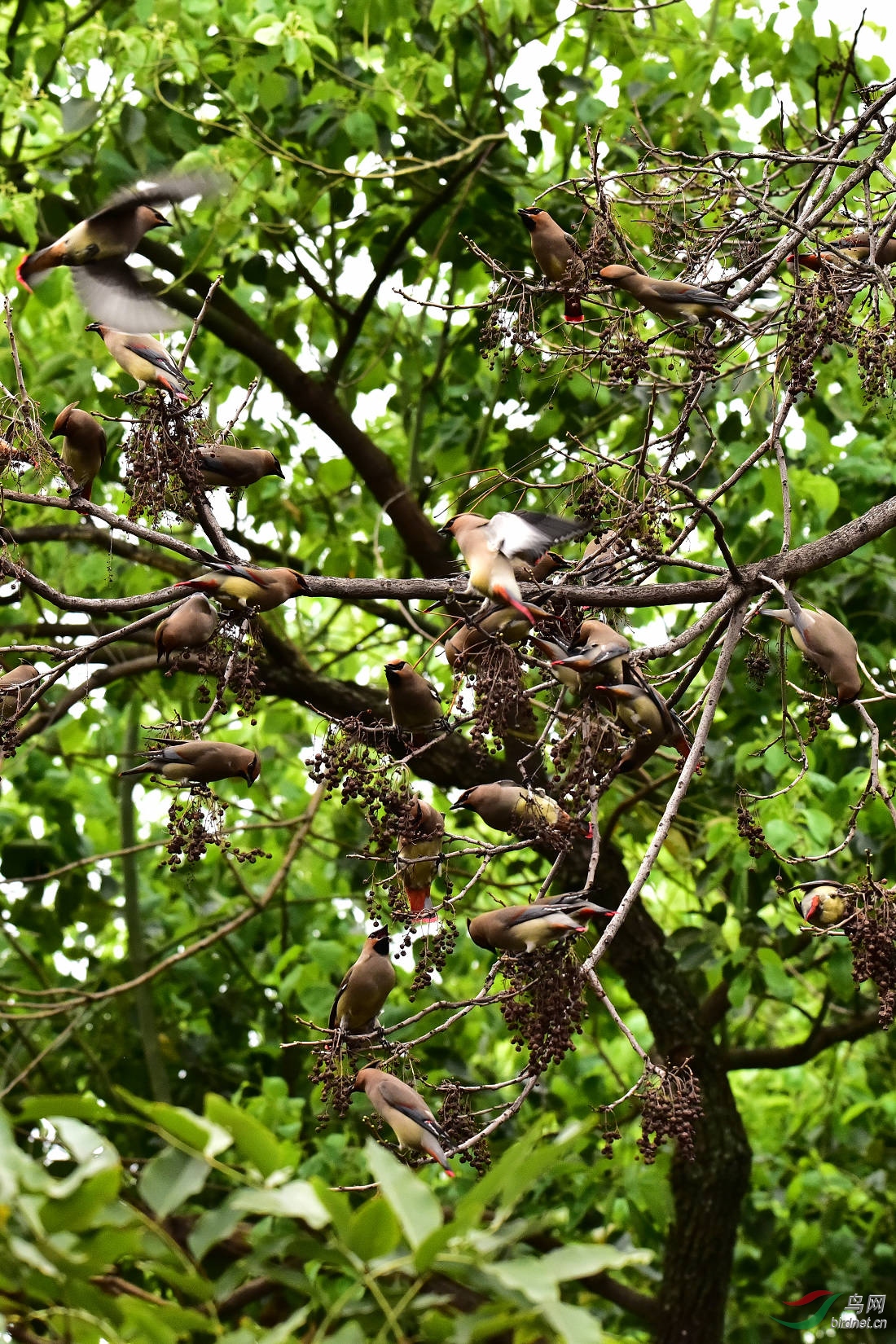 DSC_0008.JPG