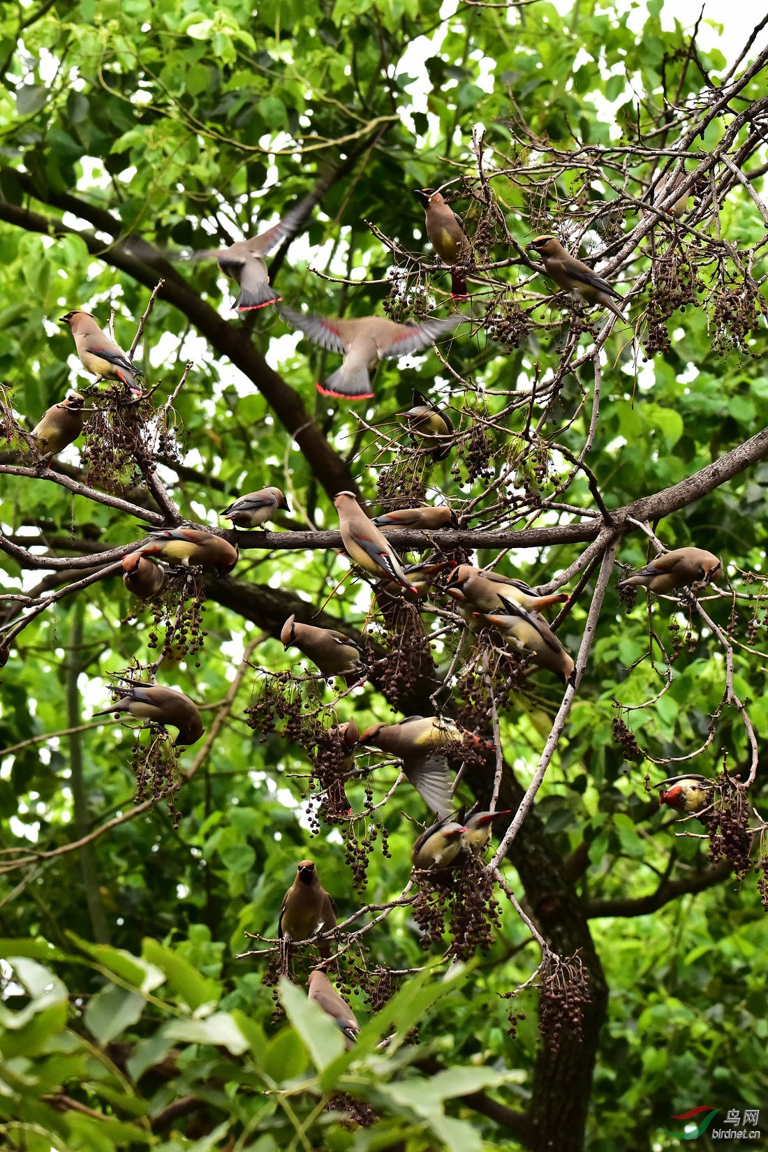 DSC_0009.JPG